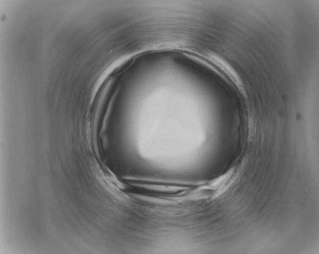 X0000071861340200607211908