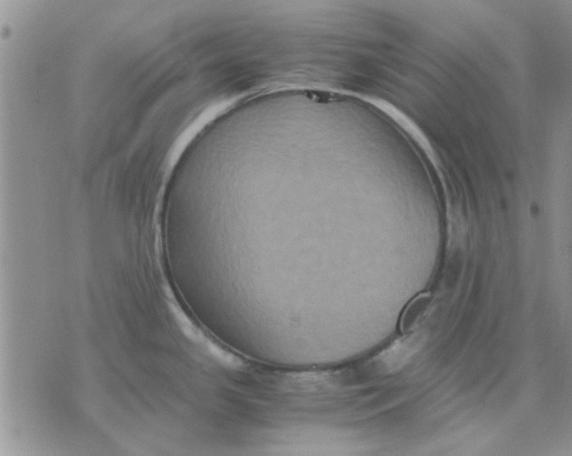 X0000071861341200607211908