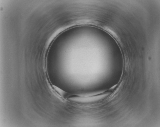 X0000071861342200607211908