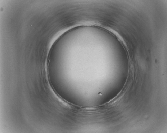 X0000071861343200607211908