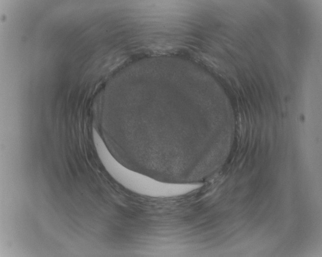 X0000071861346200607211907