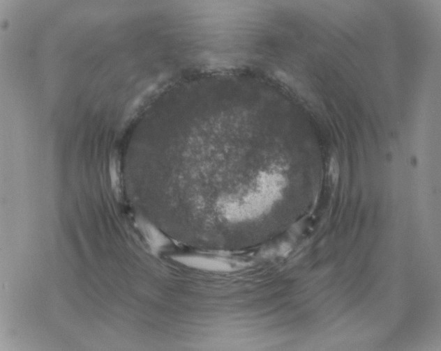 X0000071861348200607211907