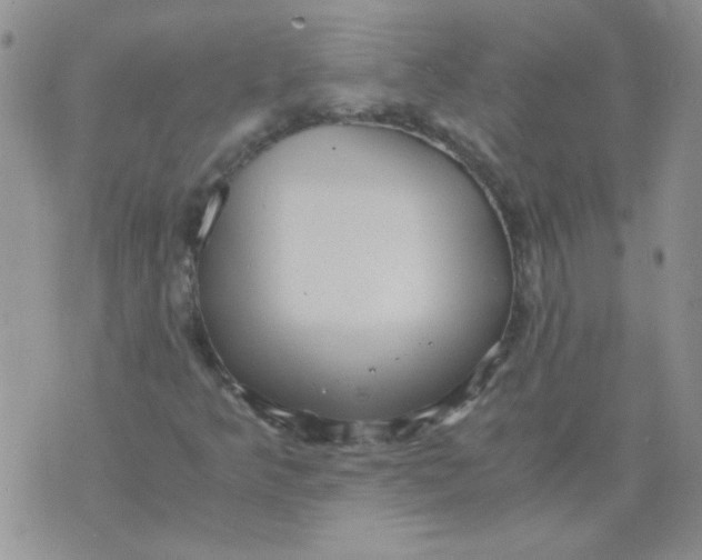 X0000071861349200607211907