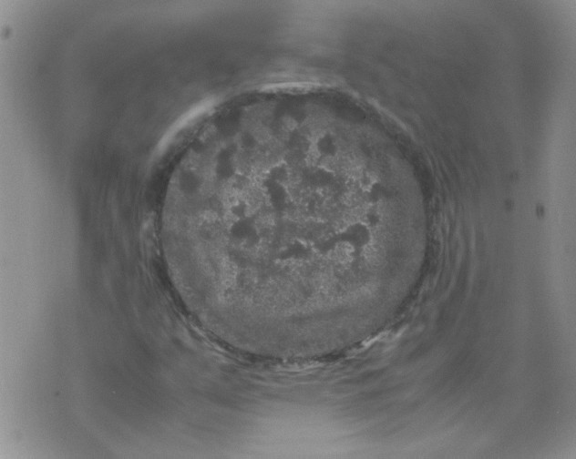 X0000071861351200607211907