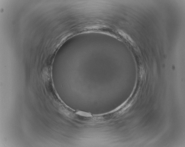 X0000071861353200607211907