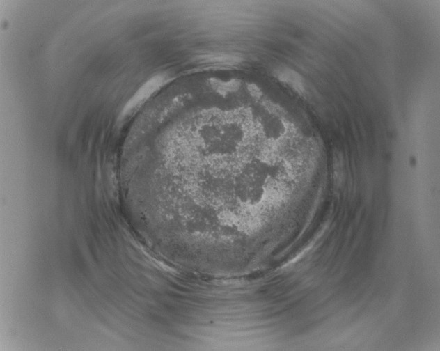 X0000071861354200607211907