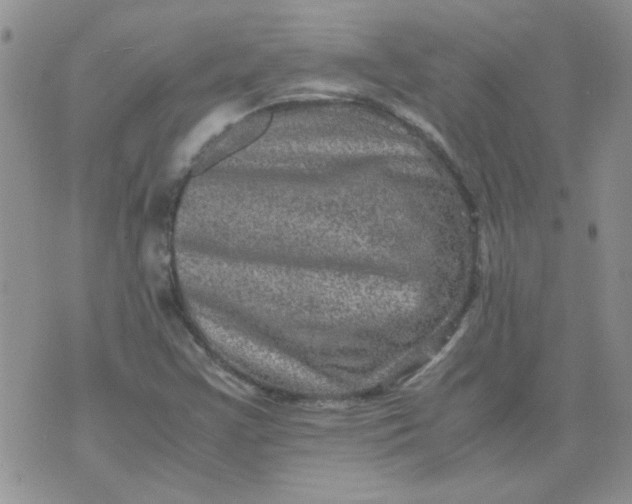 X0000071861355200607211907