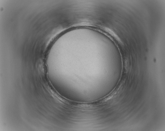 X0000071861356200607211907