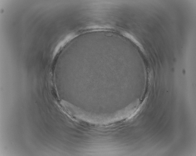 X0000071861357200607211907