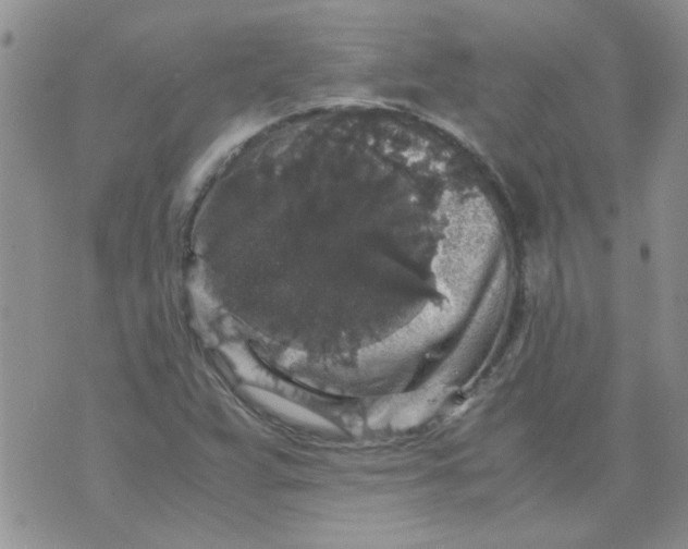 X0000071861359200607211907