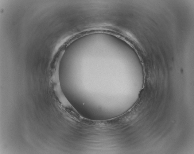 X0000071861360200607211907