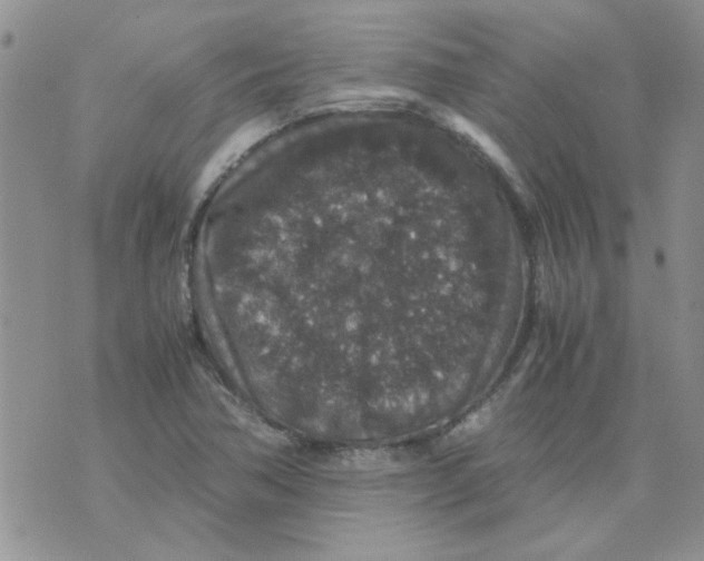 X0000071861362200607211907