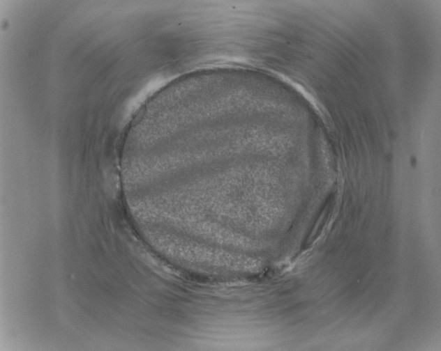 X0000071861363200607211907