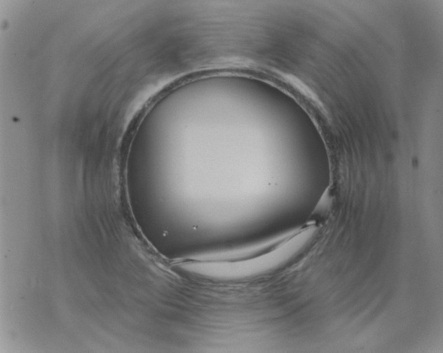 X0000071861364200607211907