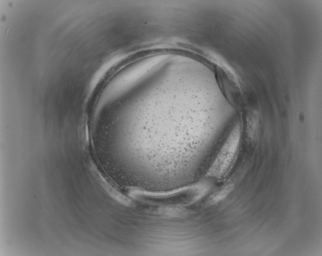 X0000071861368200607211907