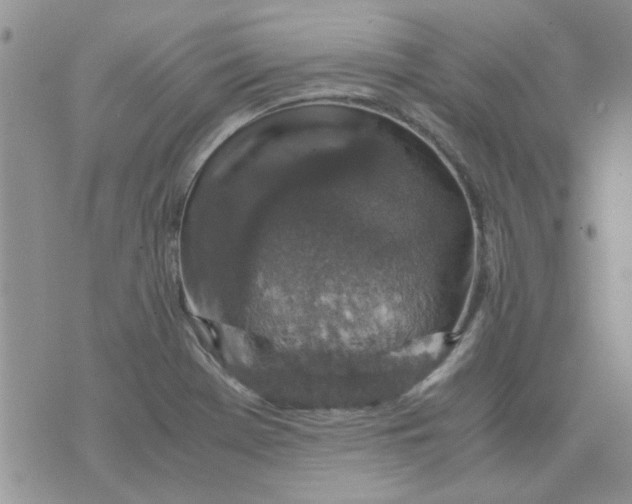 X0000071861369200607211907