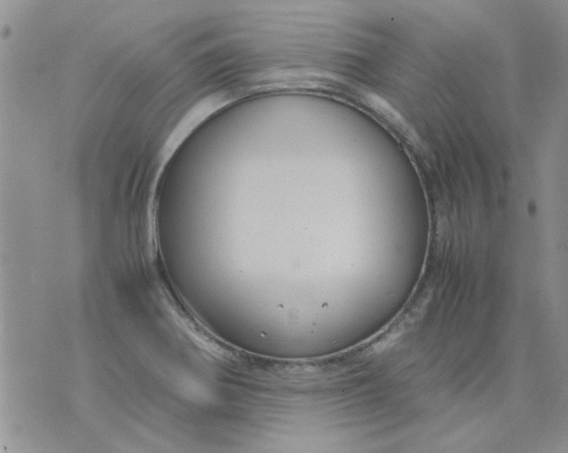 X0000071861370200607211906