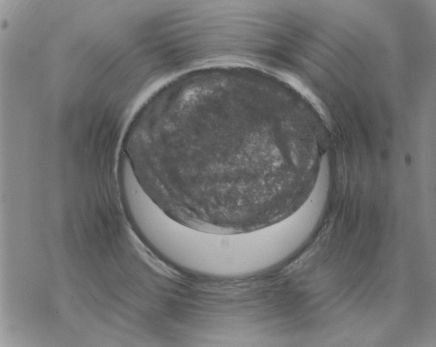 X0000071861372200607211906