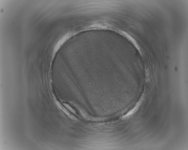 X0000071861373200607211906