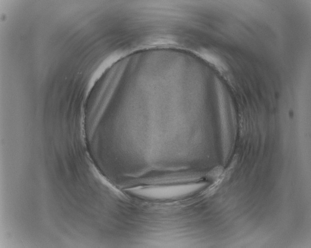 X0000071861374200607211906