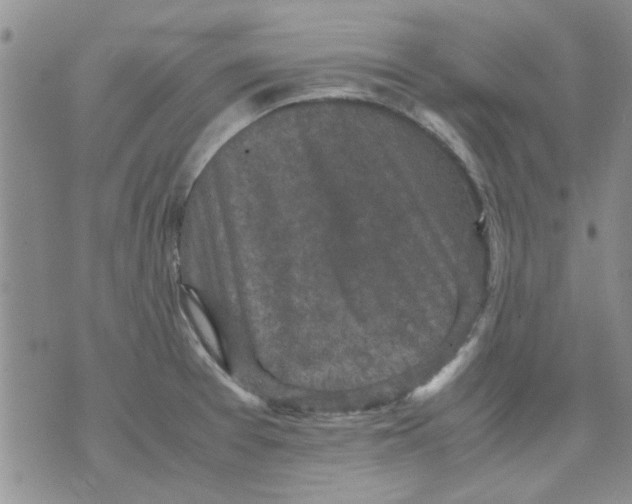 X0000071861377200607211906