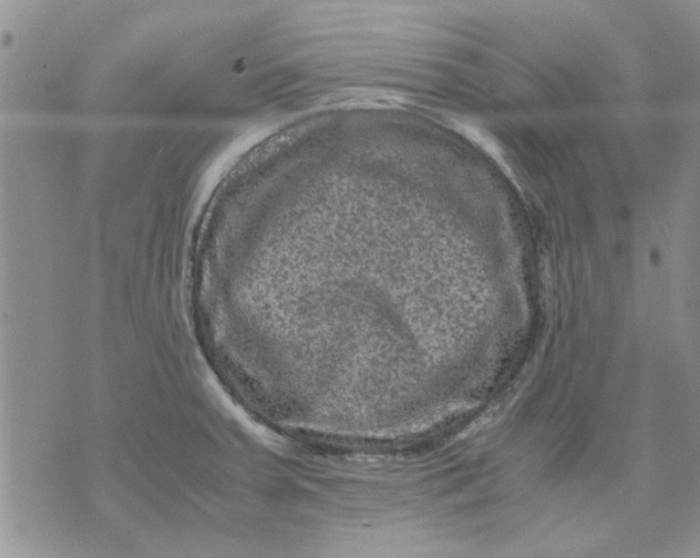 X0000071861379200607211906