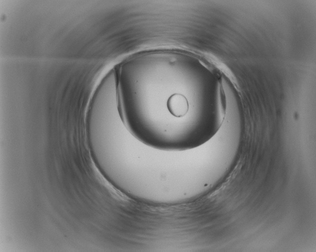 X0000071861380200607211906