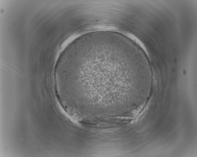 X0000071861381200607211906