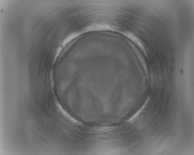 X0000071861382200607211906