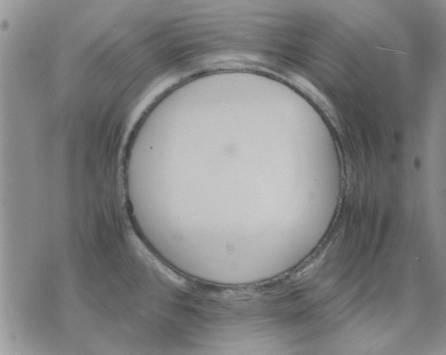 X0000071861384200607211906