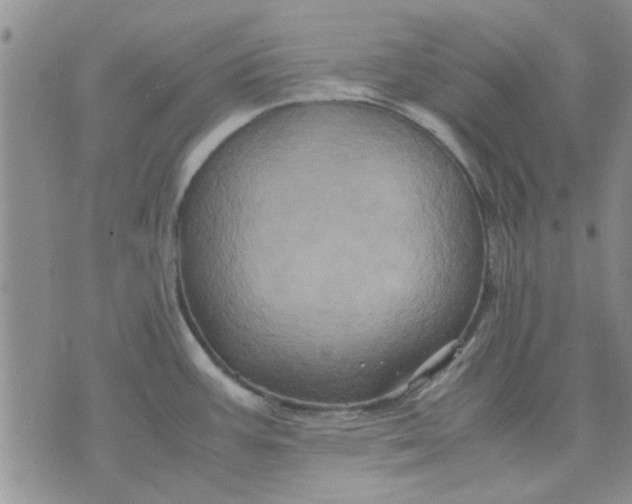 X0000071861387200607211906