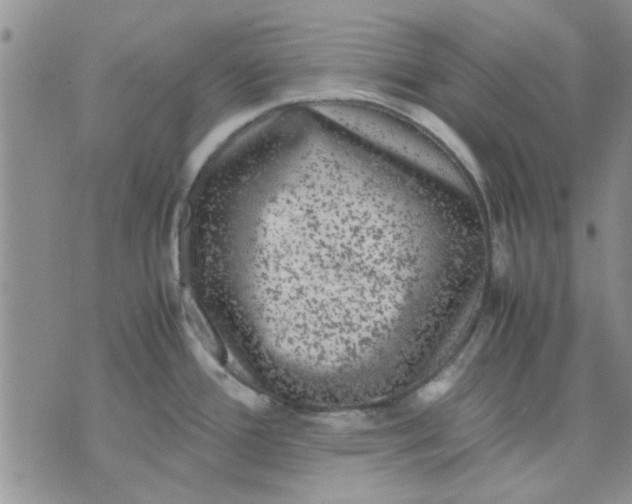 X0000071861388200607211906