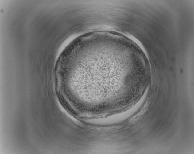 X0000071861389200607211906