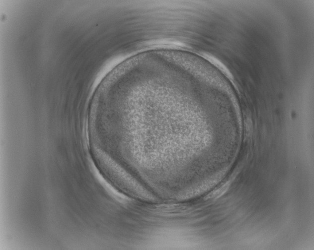 X0000071861391200607211906