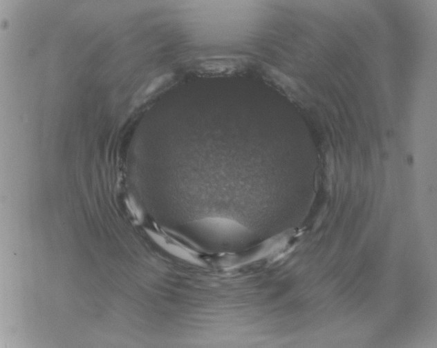 X0000071861394200607211905