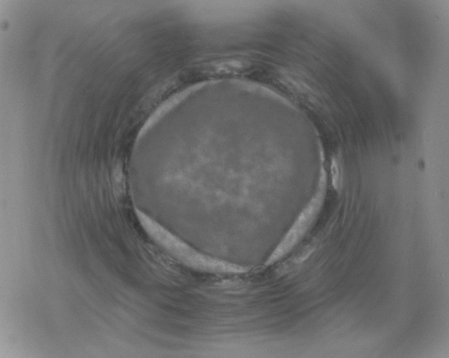 X0000071861395200607211905