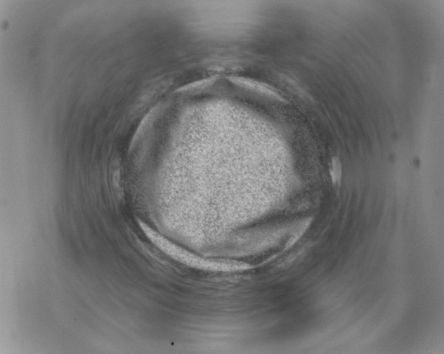 X0000071861396200607211905