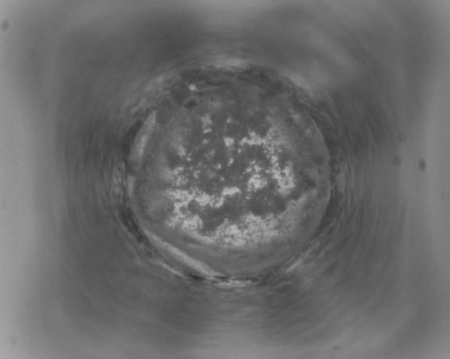 X0000071861397200607211905