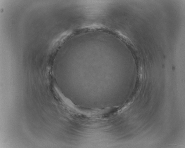 X0000071861398200607211905