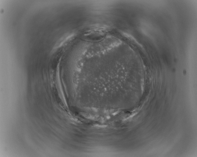 X0000071861399200607211905