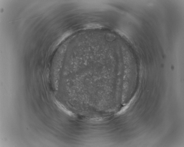 X0000071861401200607211905