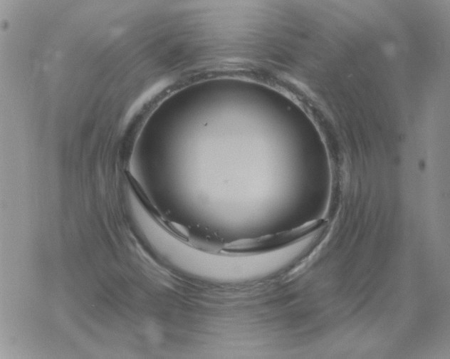 X0000071861402200607211905