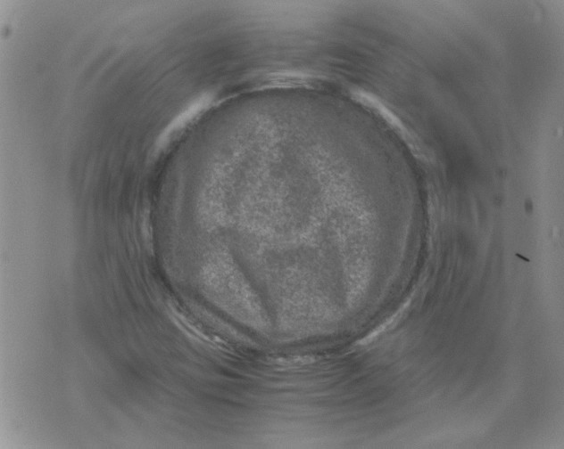 X0000071861403200607211905