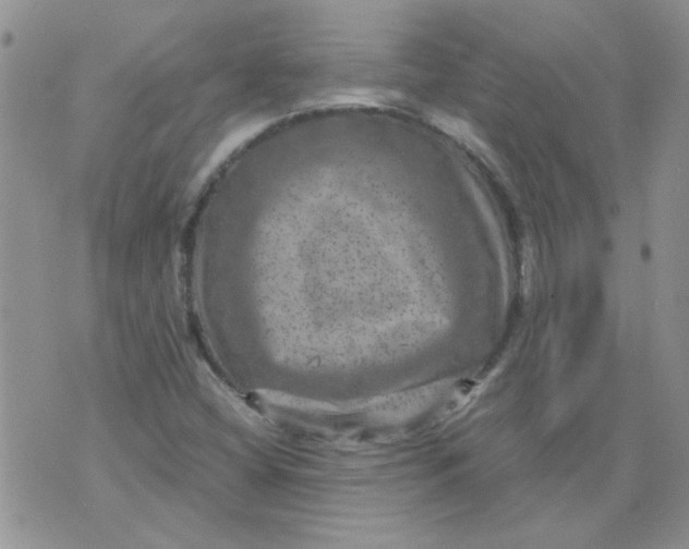 X0000071861404200607211905