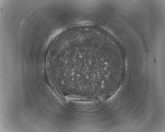 X0000071861405200607211905