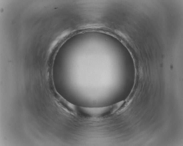 X0000071861406200607211905