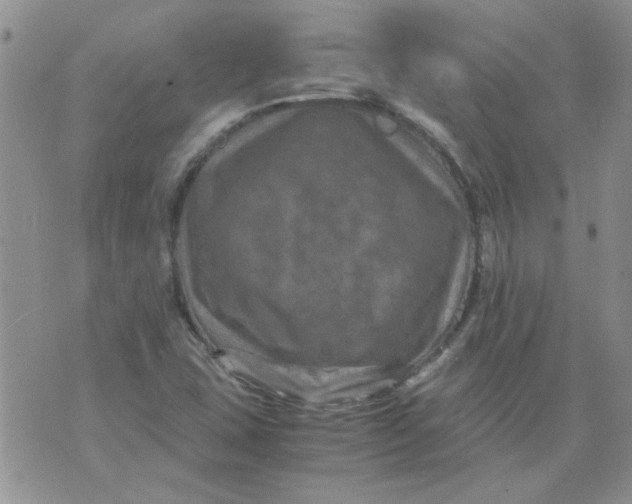 X0000071861407200607211905