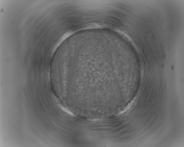 X0000071861409200607211906