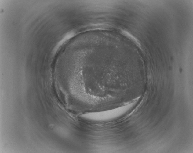 X0000071861411200607211906