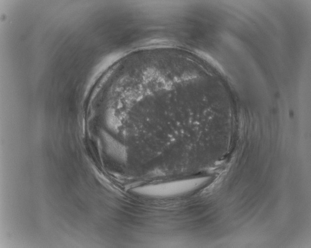 X0000071861413200607211906